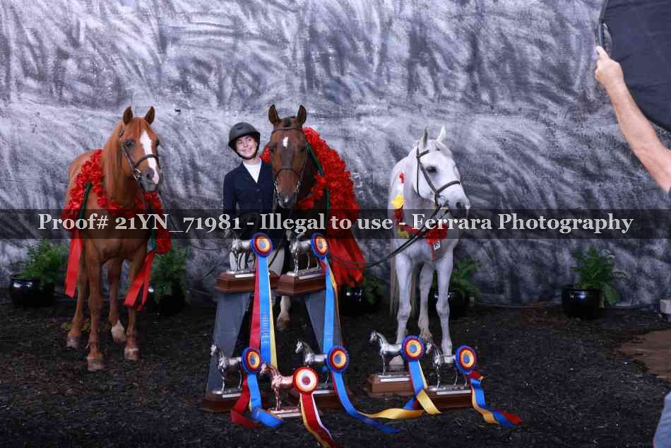 Proof Number 21YN_71981
