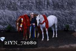 21YN_72080 thumbnail