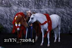21YN_72084 thumbnail