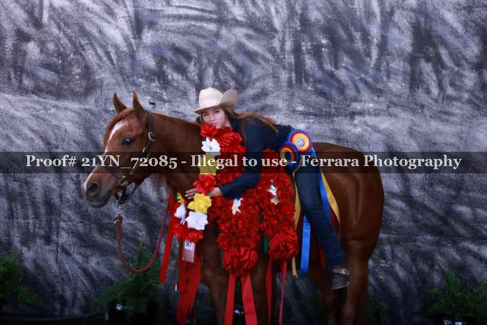 Proof Number 21YN_72085