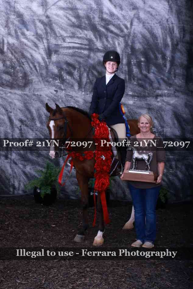 Proof Number 21YN_72097