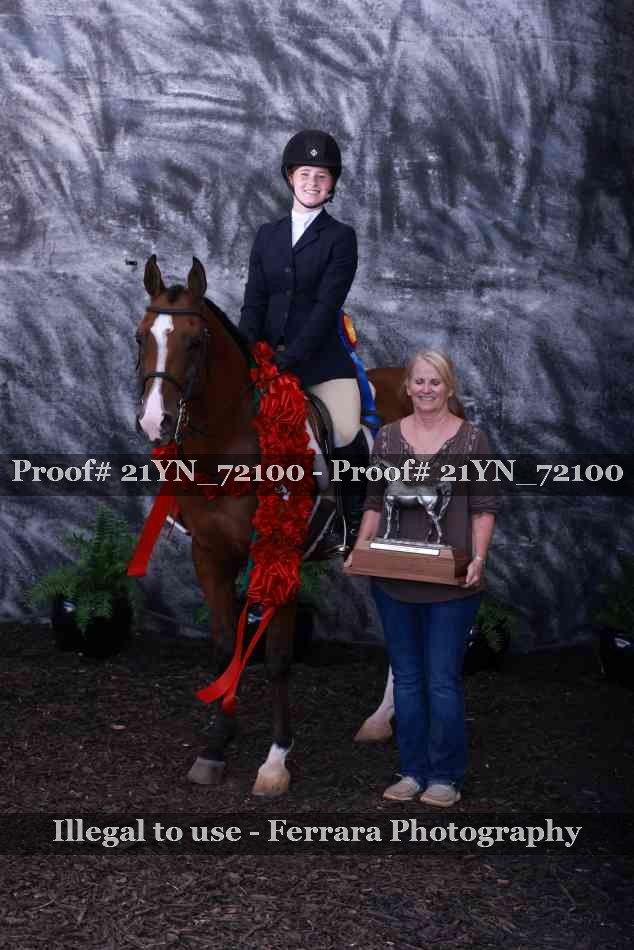 Proof Number 21YN_72100