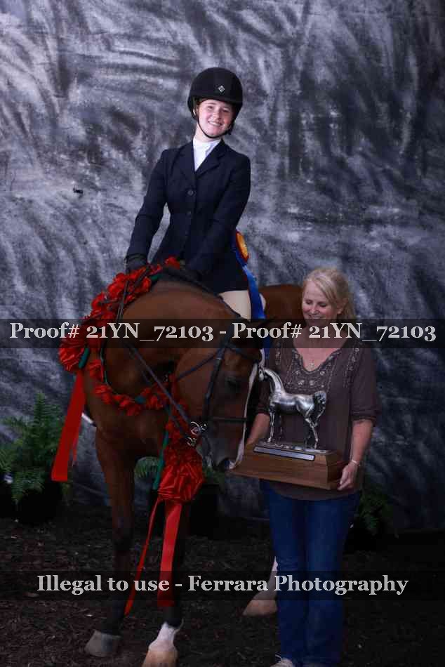 Proof Number 21YN_72103