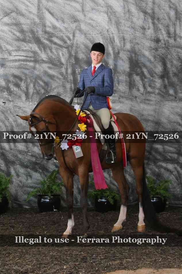 Proof Number 21YN_72526