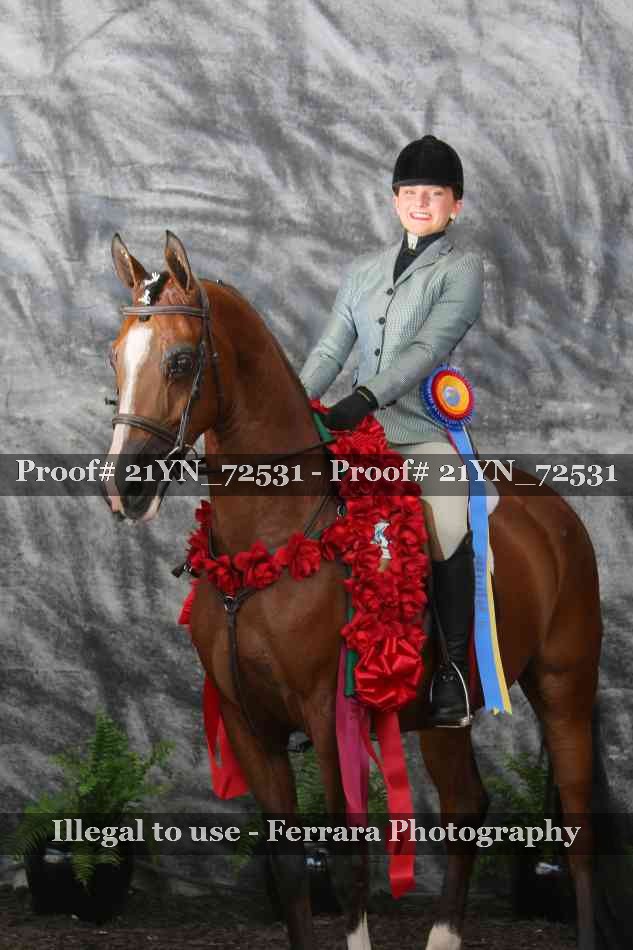 Proof Number 21YN_72531