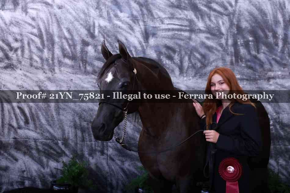 Proof Number 21YN_75821