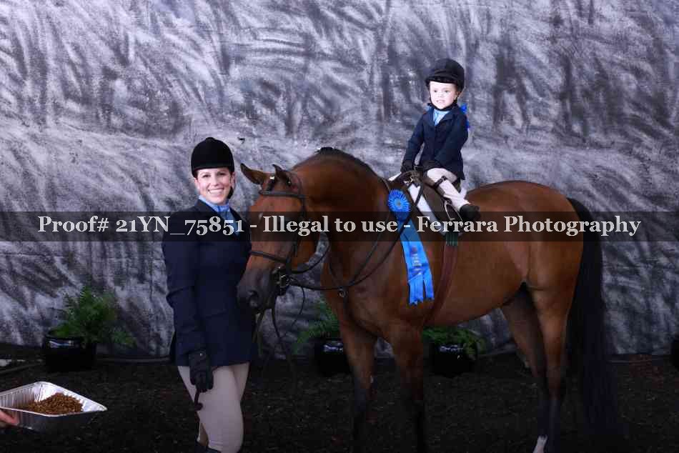 Proof Number 21YN_75851