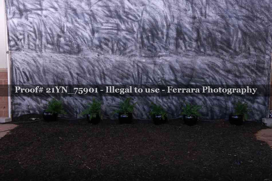 Proof Number 21YN_75901