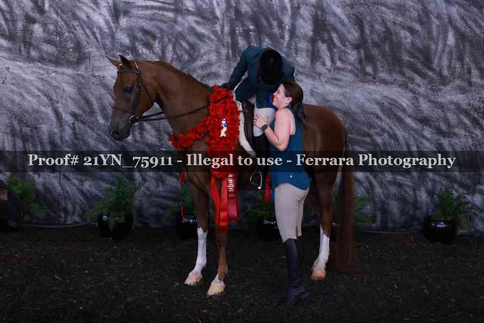Proof Number 21YN_75911