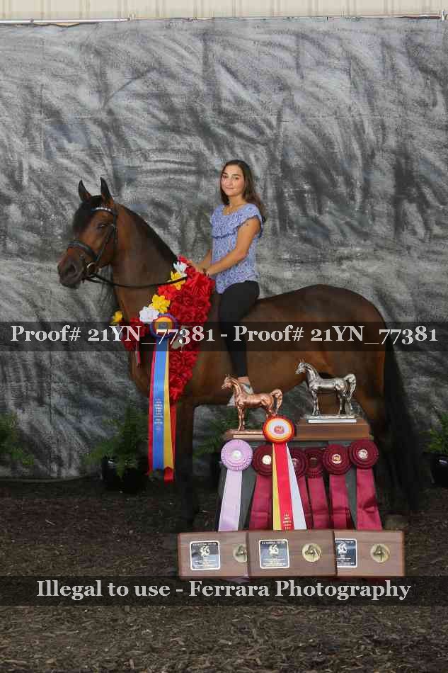 Proof Number 21YN_77381
