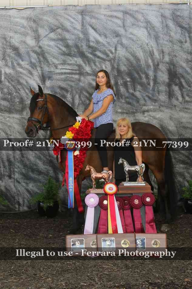 Proof Number 21YN_77399