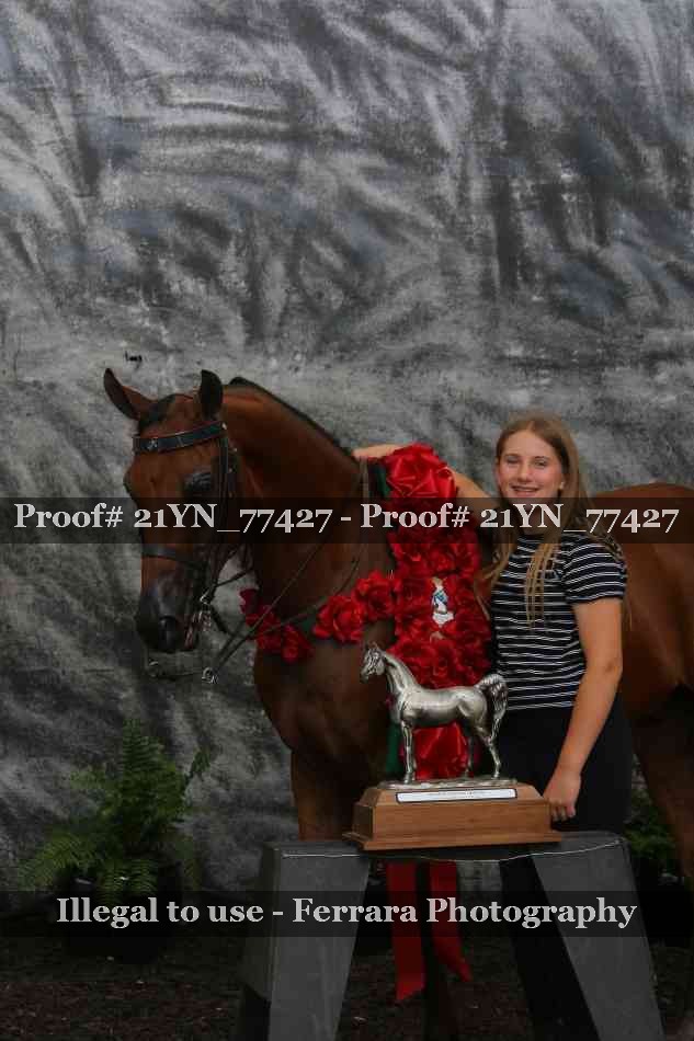 Proof Number 21YN_77427