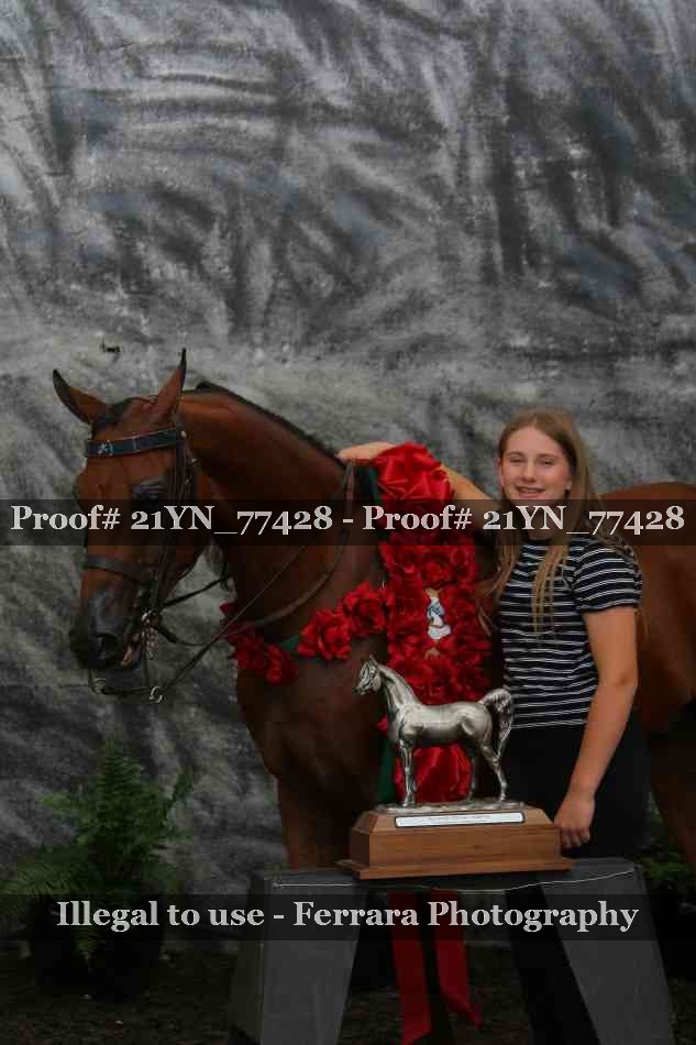 Proof Number 21YN_77428
