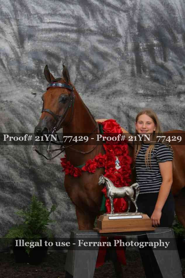 Proof Number 21YN_77429