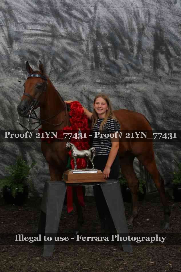 Proof Number 21YN_77431