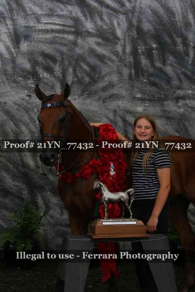 Proof Number 21YN_77432