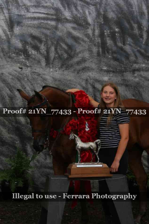 Proof Number 21YN_77433