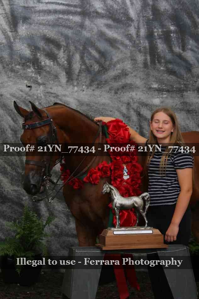 Proof Number 21YN_77434