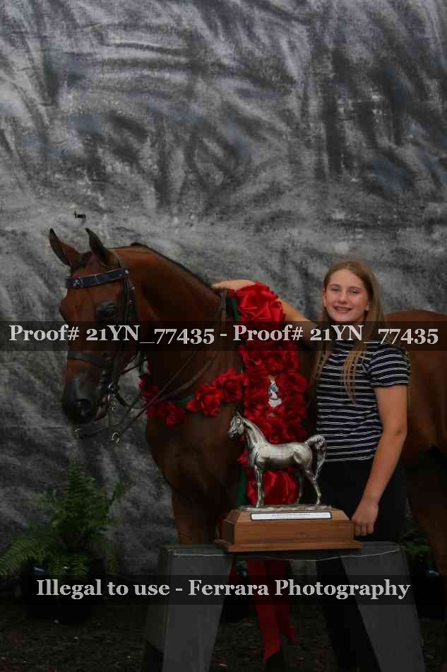 Proof Number 21YN_77435