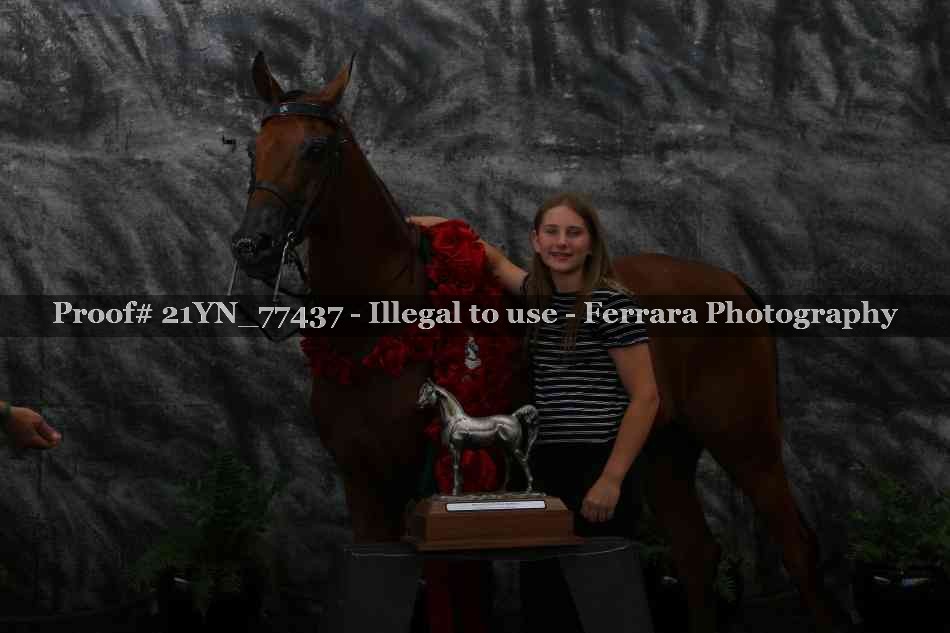 Proof Number 21YN_77437