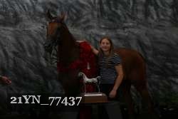 21YN_77437 thumbnail
