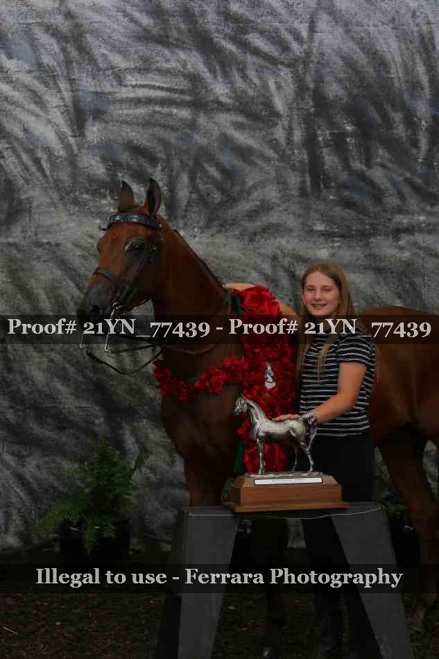 Proof Number 21YN_77439
