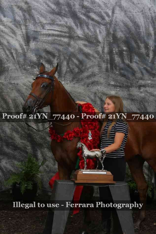 Proof Number 21YN_77440