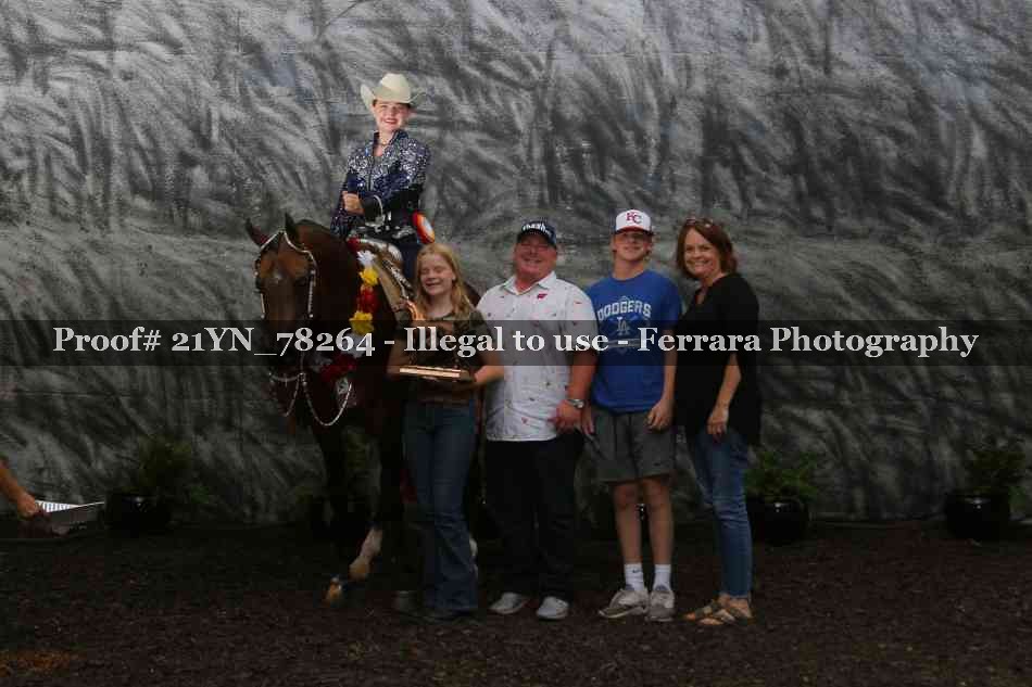 Proof Number 21YN_78264
