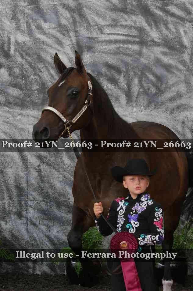 Proof Number 21YN_26663