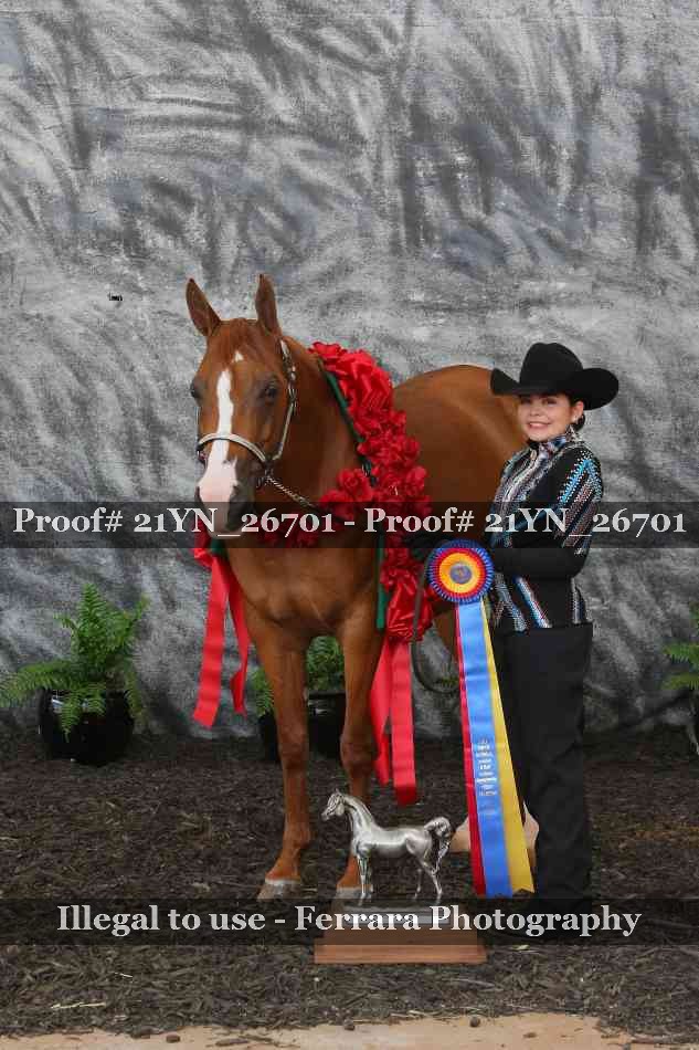 Proof Number 21YN_26701