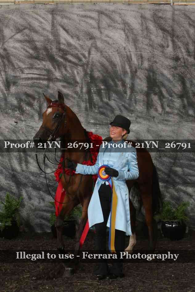 Proof Number 21YN_26791