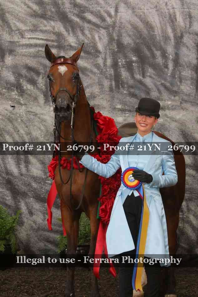 Proof Number 21YN_26799