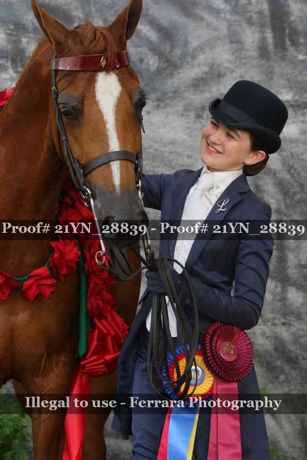 Proof Number 21YN_28839