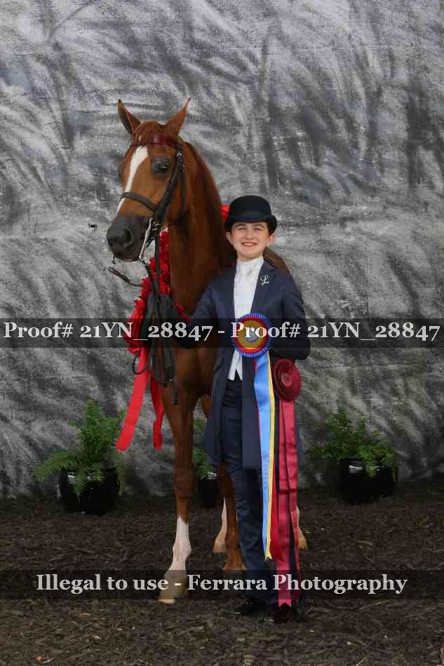 Proof Number 21YN_28847