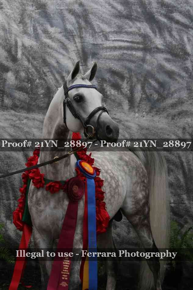 Proof Number 21YN_28897