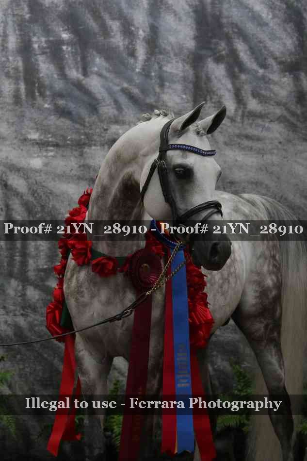 Proof Number 21YN_28910
