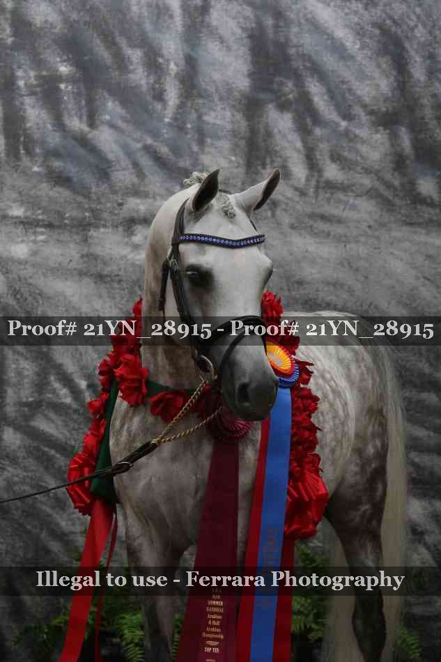 Proof Number 21YN_28915