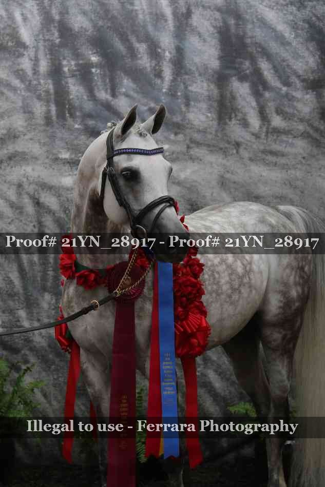 Proof Number 21YN_28917