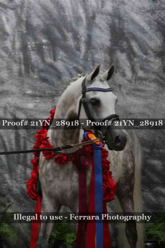 Proof Number 21YN_28918