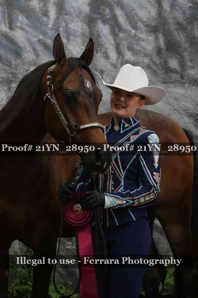 Proof Number 21YN_28950