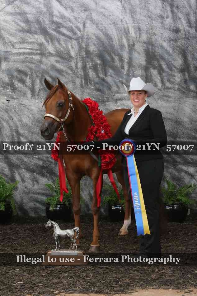 Proof Number 21YN_57007