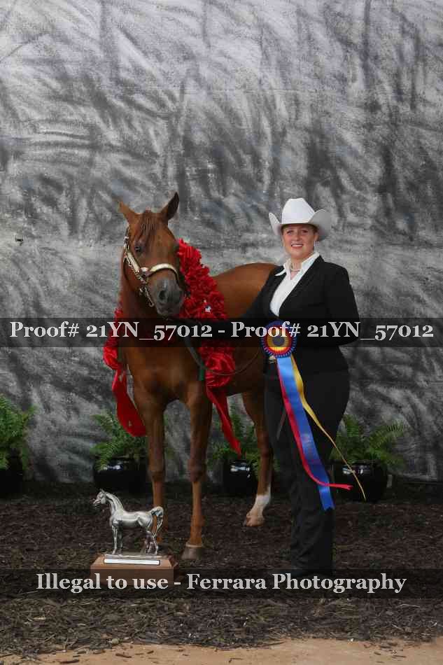 Proof Number 21YN_57012