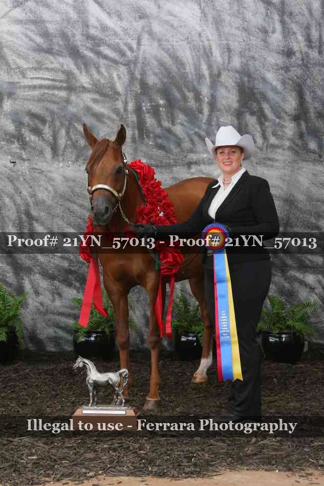 Proof Number 21YN_57013