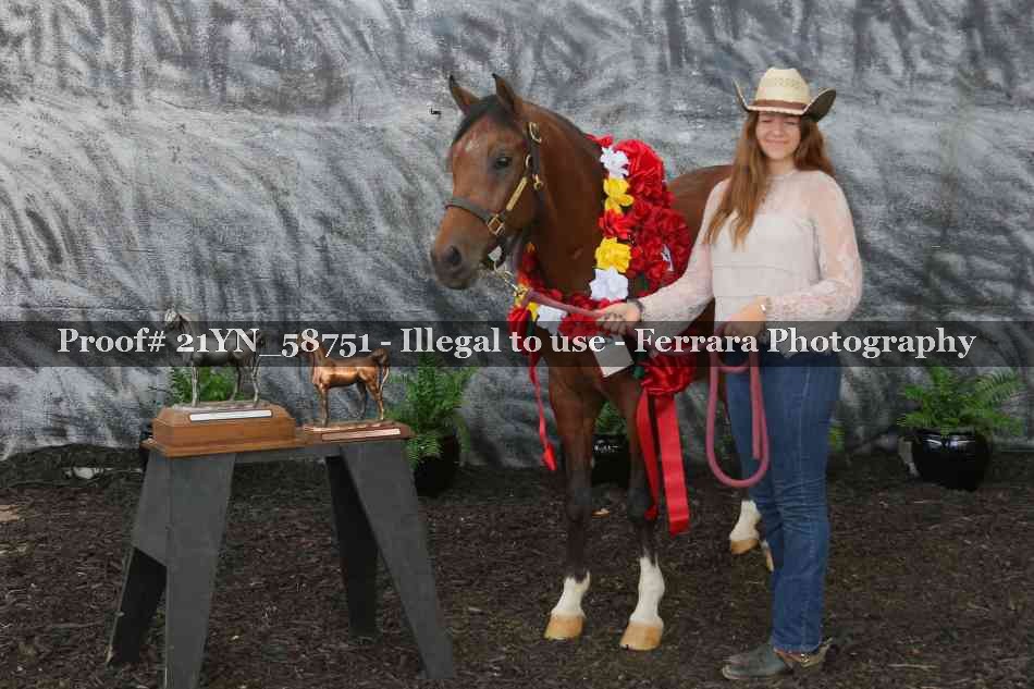 Proof Number 21YN_58751