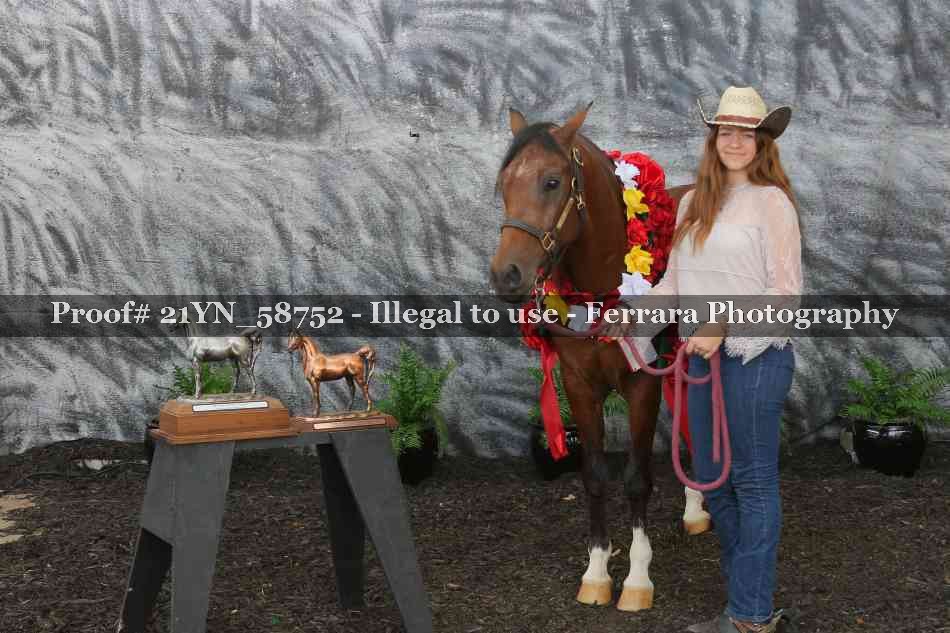 Proof Number 21YN_58752