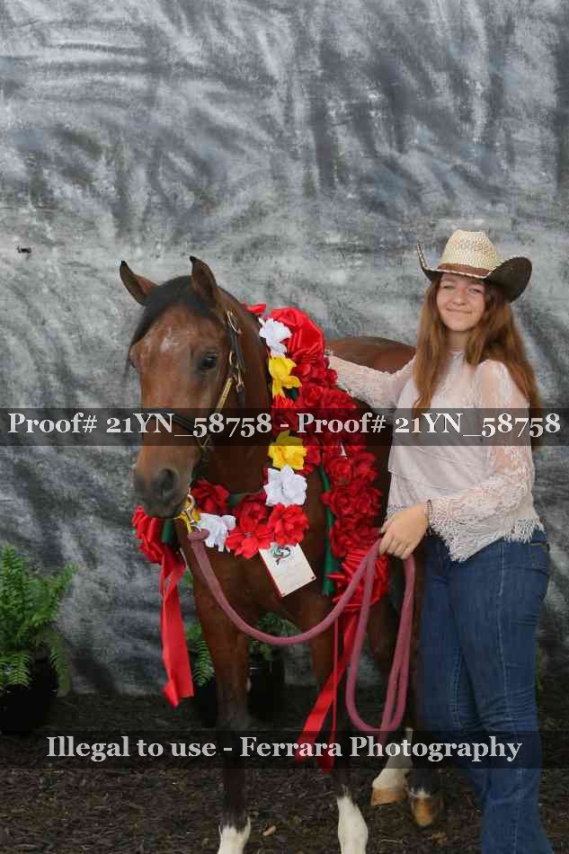 Proof Number 21YN_58758