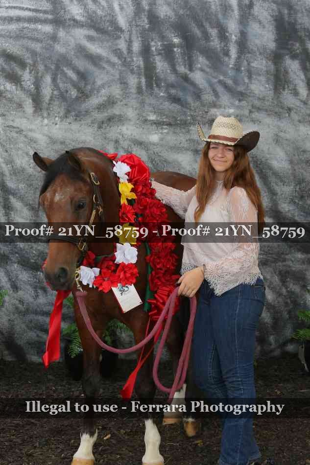 Proof Number 21YN_58759