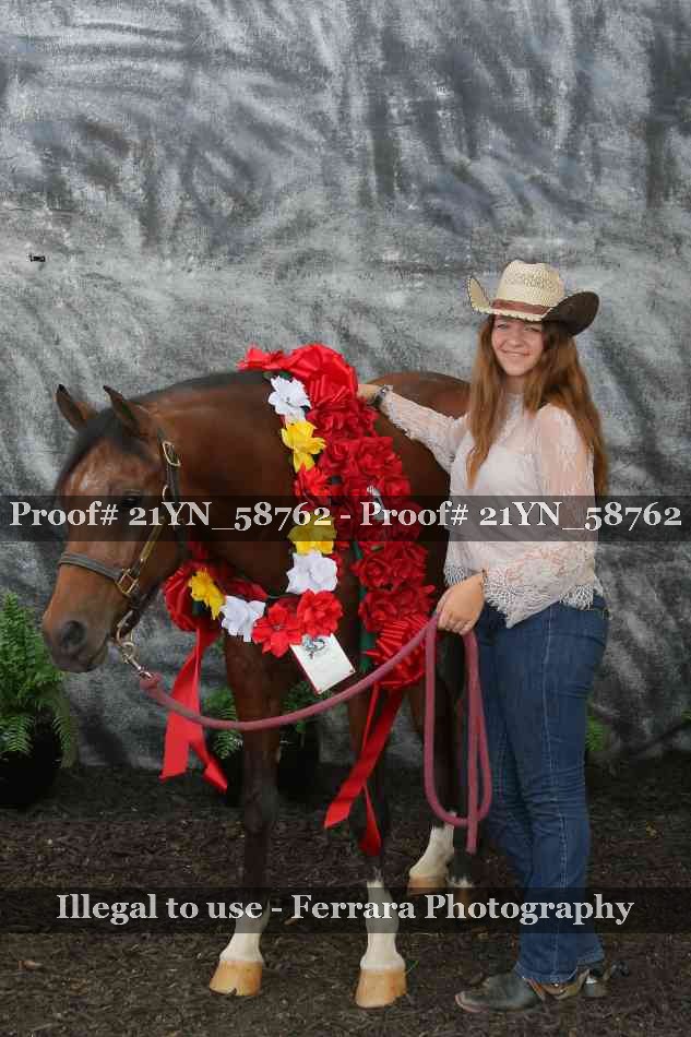 Proof Number 21YN_58762