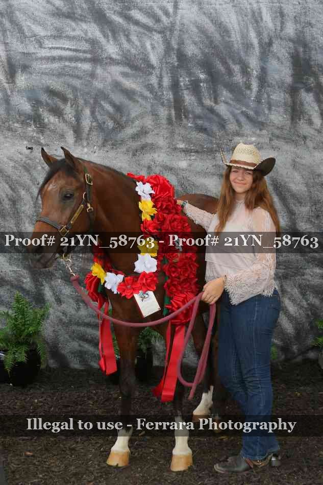 Proof Number 21YN_58763
