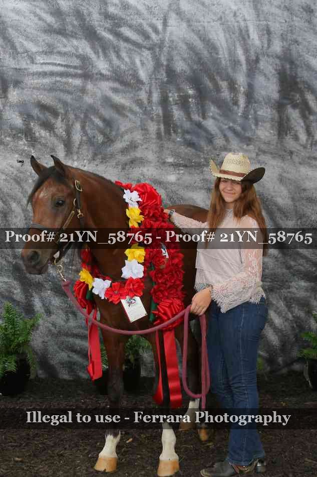 Proof Number 21YN_58765